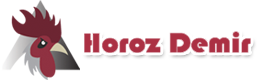 HOROZ DEMİR